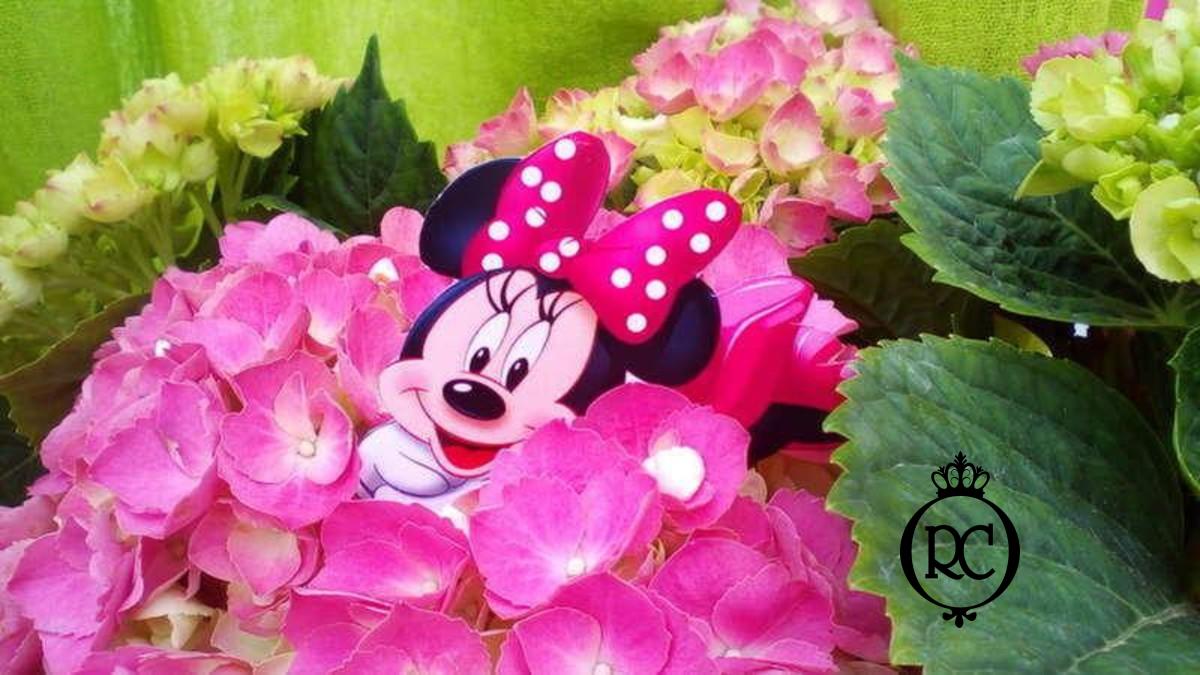 Στολισμός Βάπτισης με θέμα Minnie & Mickey Mouse Κωδ 70637,Roberto Creations | Στολισμός Βάπτισης, Θέμα Βάπτισης, Θέμα Στολισμού Βάπτισης Θεματικοί Στολισμοί Βάπτισης, Στολισμός Βάπτισης με θέμα, Προσκλητήρια, Μπομπονιέρες, Γάμος, βάπτιση, βαπτιστικά, Κουτιά Βάπτισης,Στολισμός,Στολισμός Βάπτισης,Θέμα Βάπτισης Minnie & Mickey Mouse,Στολισμός Βάπτισης