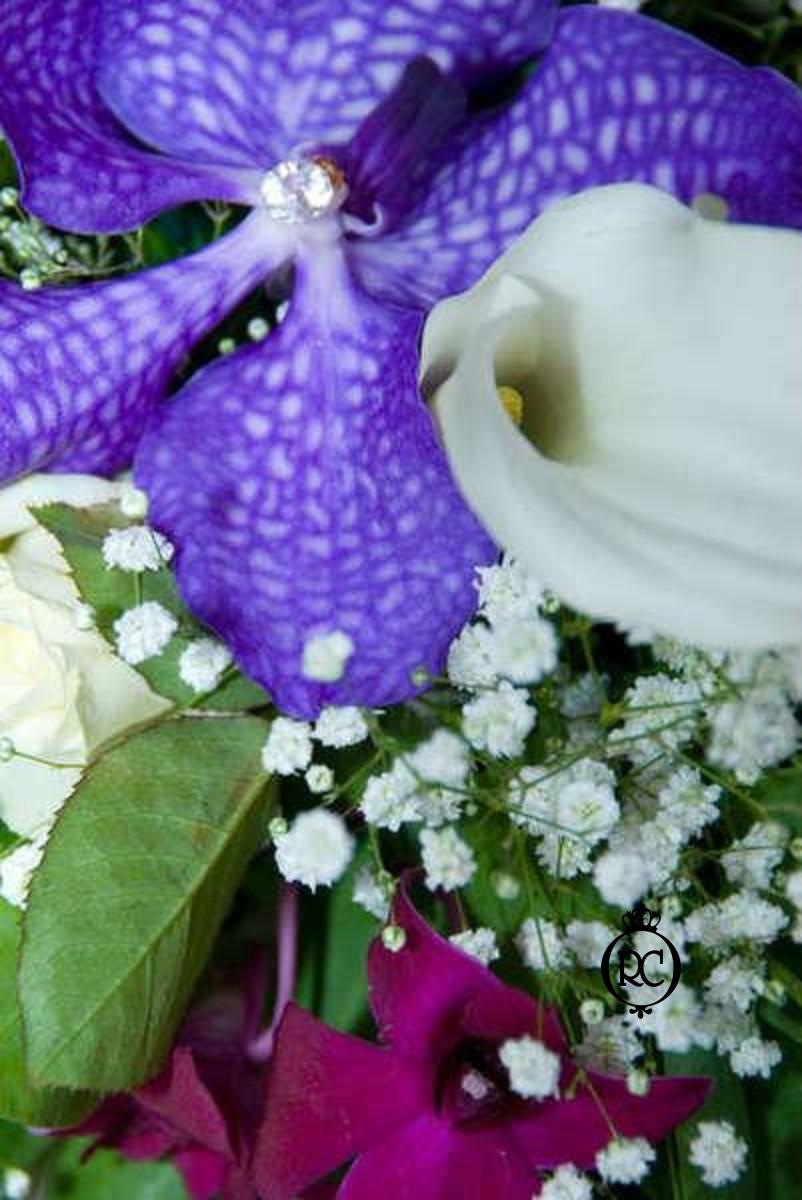 Στολισμός Γάμου Κωδ 58217,Roberto Creations | Στολισμός Βάπτισης, Θέμα Βάπτισης, Θέμα Στολισμού Βάπτισης Θεματικοί Στολισμοί Βάπτισης, Στολισμός Βάπτισης με θέμα, Προσκλητήρια, Μπομπονιέρες, Γάμος, βάπτιση, βαπτιστικά, Κουτιά Βάπτισης,Στολισμός,Στολισμός Γάμου,Στολισμός Γάμου