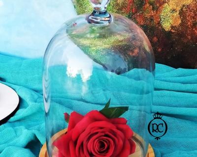 Στολισμός Βάπτισης με Θέμα Βάπτισης Ουράνιο Τόξο Κωδ 78055, Roberto Creations | Στολισμός Βάπτισης, Θέμα Βάπτισης, Θέμα Στολισμού Βάπτισης Θεματικοί Στολισμοί Βάπτισης, Στολισμός Βάπτισης με θέμα, Προσκλητήρια, Μπομπονιέρες, Γάμος, βάπτιση, βαπτιστικά, Κουτιά Βάπτισης