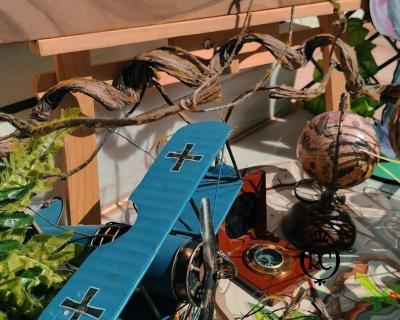 Στολισμός Βάπτισης με Θέμα Βάπτισης Ζωάκια - Ζούγκλα - Safari Κωδ 80356, Roberto Creations | Στολισμός Βάπτισης, Θέμα Βάπτισης, Θέμα Στολισμού Βάπτισης Θεματικοί Στολισμοί Βάπτισης, Στολισμός Βάπτισης με θέμα, Προσκλητήρια, Μπομπονιέρες, Γάμος, βάπτιση, βαπτιστικά, Κουτιά Βάπτισης