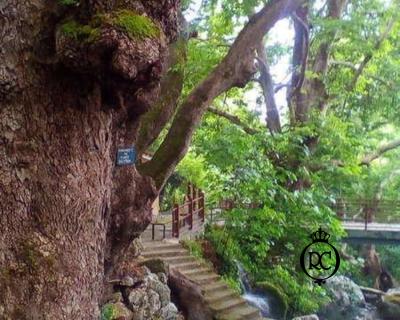 Στολισμός Βάπτισης με θέμα Ξωτικά Κωδ 60774,Roberto Creations | Στολισμός Βάπτισης, Θέμα Βάπτισης, Θέμα Στολισμού Βάπτισης Θεματικοί Στολισμοί Βάπτισης, Στολισμός Βάπτισης με θέμα, Προσκλητήρια, Μπομπονιέρες, Γάμος, βάπτιση, βαπτιστικά, Κουτιά Βάπτισης,Στολισμός,Στολισμός Βάπτισης,Θέμα Βάπτισης Ξωτικά,Στολισμός Βάπτισης